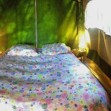 Flower Camping La Pibola Camon  Exterior photo